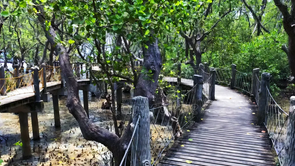 Talabong Mangroves